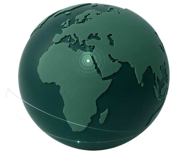 F.B Company Global Perspective with Strategic Focus on Egypt