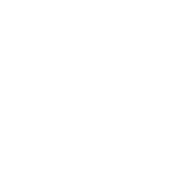 Pizza Party